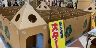 ショッピングセンターで段ボール巨大迷路をしました★